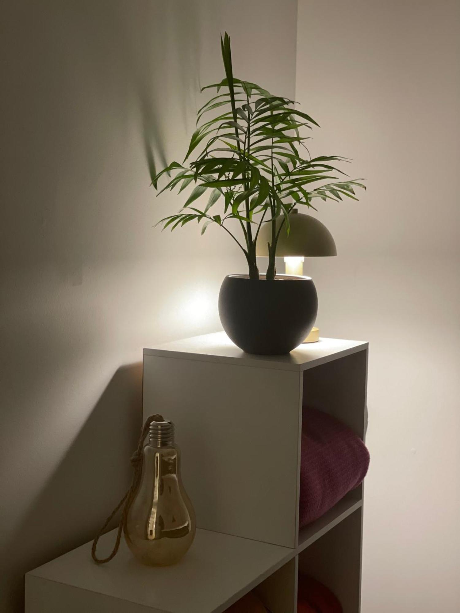 Apartamento Domo